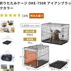その他の画像