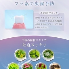 メディスホワイト 医薬部外品 歯磨き粉 ホワイトニング 【全面防御で輝く白い歯へ×フッ素入り×味なし低刺激だからお子様にも×120g】の画像