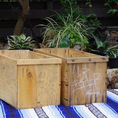 【ご購入者様へお渡し済み】【USED】リンゴ箱(中古リンゴ箱)×...