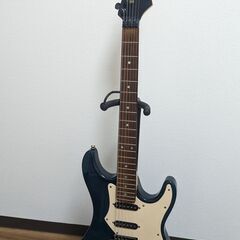 アリアプロⅡ　ＦＬシリーズです