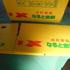 鳴門金時出村農園の専用5キロ箱 