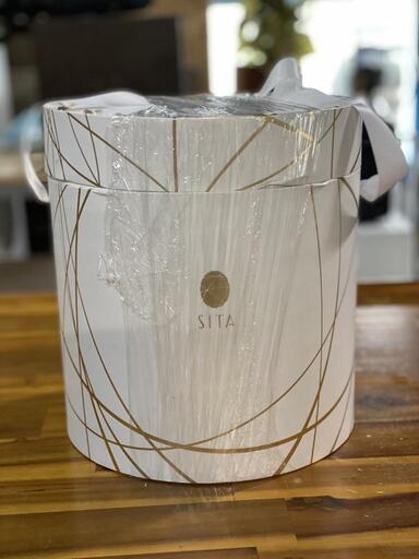 ☆未使用品!!☆ SITA フェイシャルスチーマー 美容家電 フェイスケア