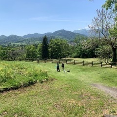 【送迎】【定期利用も】フリースクール（創）つくるの画像