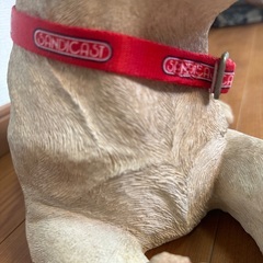 SANDICAST社製 ラブラドールレトリバー 子犬 USA リアルサイズの画像