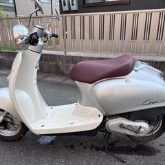 [プロフィール確認して下さい！]🈹最終割引中‼️実動車！すぐ乗れます！ホンダ・ジョルノクレア50ccの画像