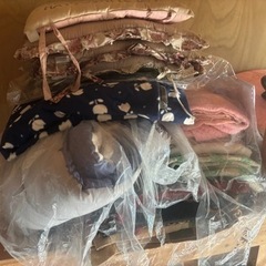 布団　座布団の画像