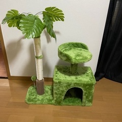 キャットタワー🐱  未使用品🌟
