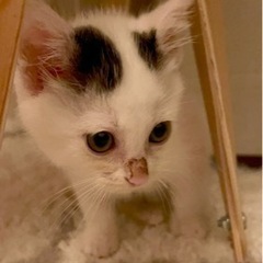 里親さん見つかりました🥰