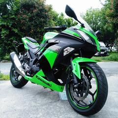 EX250L★ニンジャ250SE　Fi車両★スペシャルエディショ...