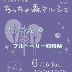6/16 厚木市飯山 厚木農園 ちっちゃ森マルシェ✨