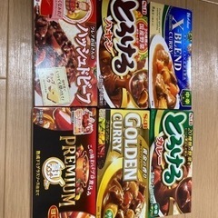 カレーのルーなど