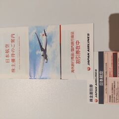 JAL株主優待券(有効期限2025年11月30日)29枚
