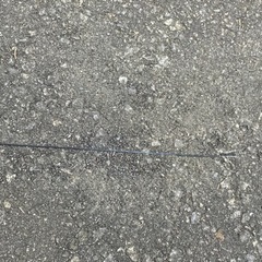 のべ竿の画像