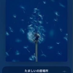 カラオケメンバー募集！ - その他