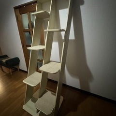 キャットタワー木製の画像