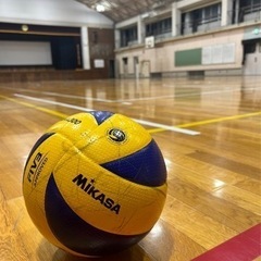 ✨府中市女子バレーボールメンバー募集✨