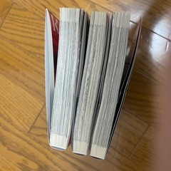 レイジングヘル　3冊セットの画像