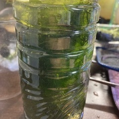 モス3種