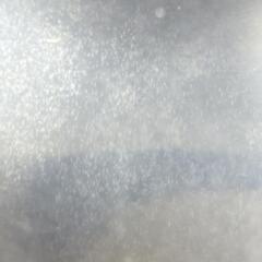 メダカ◯ゾウリムシ◯の画像