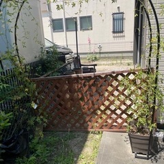 モッコウバラのゲート