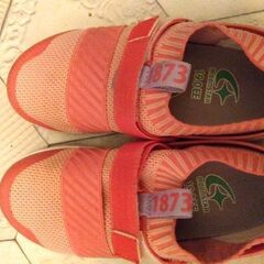 女の子運動靴１９ＥＥの画像