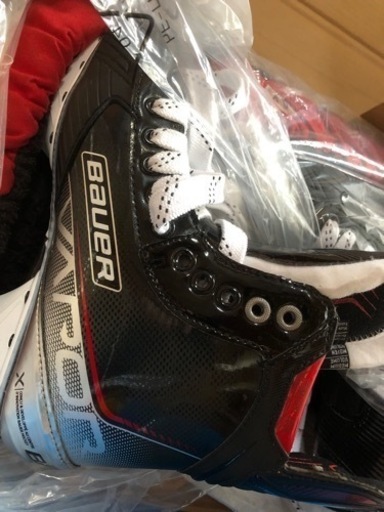 スポーツ  アイスホッケー