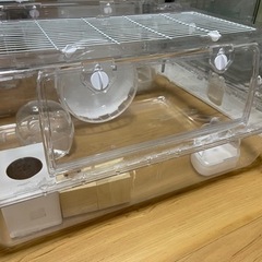 ルーミィ60グランベース②