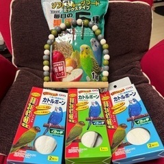 セキセイインコのご飯とおやつ