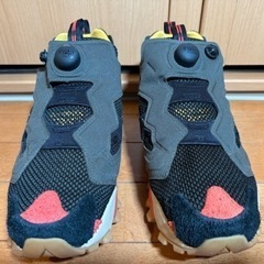 【Reebok】INSTAPUMP FURY 29cmの画像