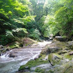 渓谷ハイキング　川遊びツアー🏞 