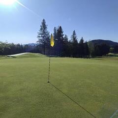 栃木県内在住で水木ゴルフ⛳️行ける方🏌️