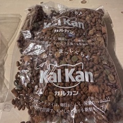 【決まりました】猫の餌の画像