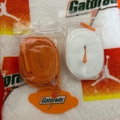 aj1エアジョーダン1ゲータレードコラボの画像