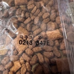 【決まりました】猫の餌の画像