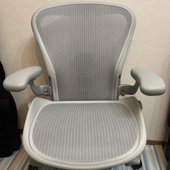 アーロンチェアリマスタード Bサイズ