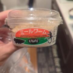 ミルワーム