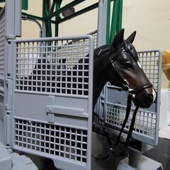 6月23日東京競馬場で競馬観戦しませんか？