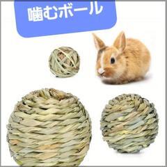 うさぎ、ハムスター、チンチラ、デグー、モルモット、その他の噛むおもちゃ
