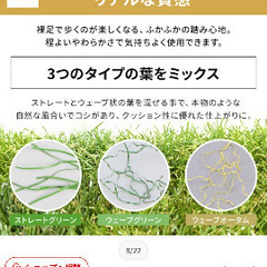防草シート一体型　人工芝ロールタイプ　２×１０ｍの画像