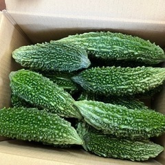 食品