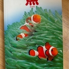 図鑑　本日　子供の本　魚