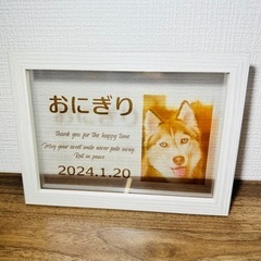 大切なペットのお位牌