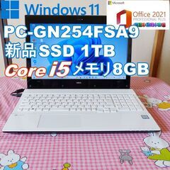 ★ NEC  NEC-PC-GN254FSA9 新品SSD1TB...