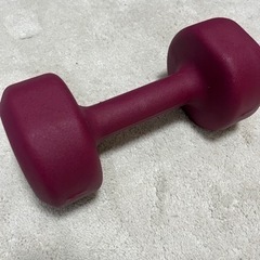 スポーツ フィットネス、トレーニング