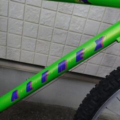 old MTB MIYATA ALFREX ミヤタ アルフレックス RIDGE RUNNERの画像