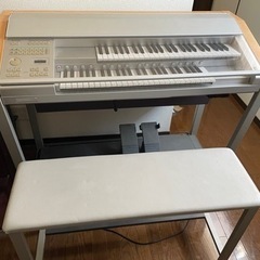 ELS 楽器の中古が安い！激安で譲ります・無料であげます｜ジモティー