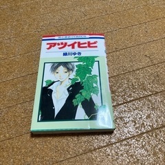 アツイヒビ
