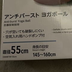 アンチバースト　ヨガボールの画像
