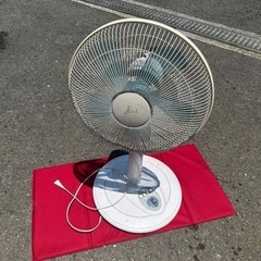 家電 季節、空調家電 扇風機