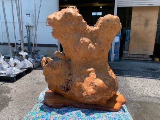 【決まりました】瘤杢衝立一式